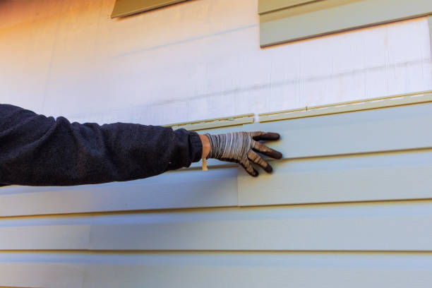 Best Siding Removal and Disposal  in Wahoo, NE